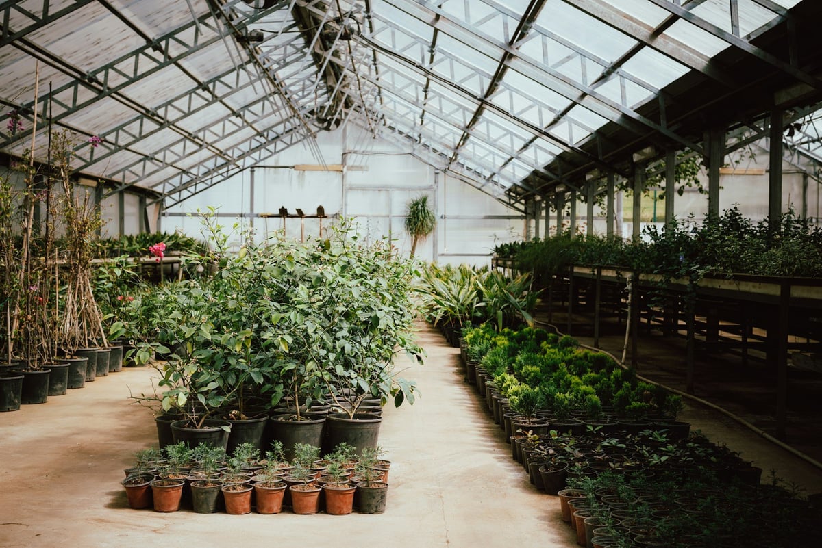 Flower Facility Wiring & Controls — CN Electrical licensed electricians serving the Chilliwack area